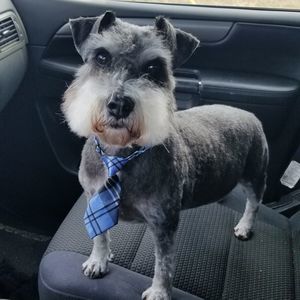 Meet your Posher, Kermit